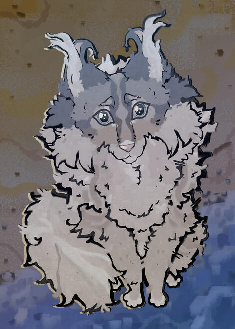 Lines and Color Custom Complex