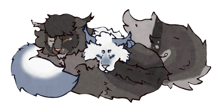 Lines and Color Couple